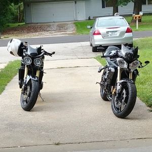 Meet your Posher, Joey